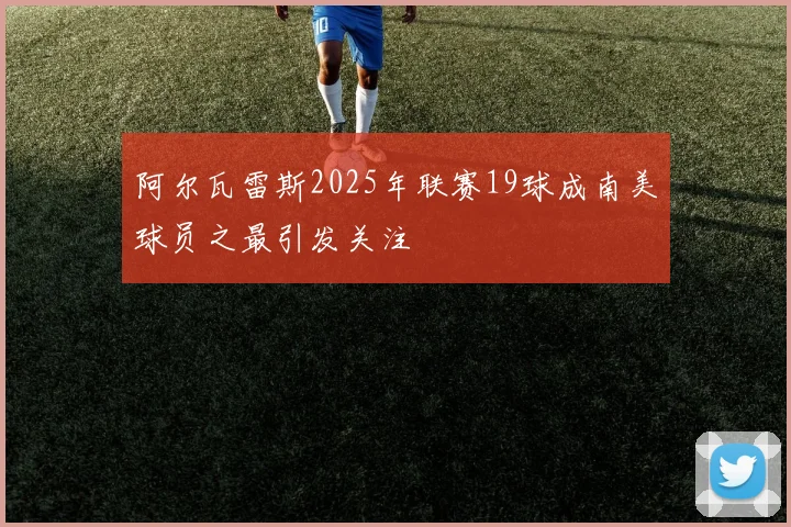 阿尔瓦雷斯2025年联赛19球成南美球员之最引发关注