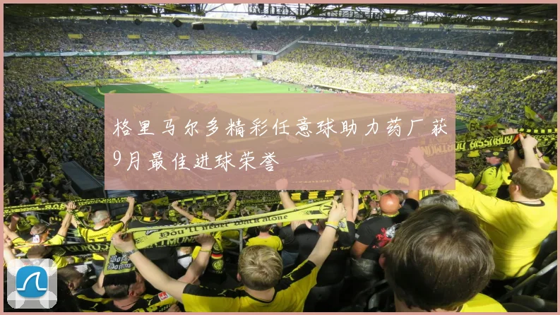 格里马尔多精彩任意球助力药厂获9月最佳进球荣誉